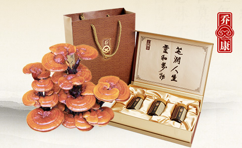 安徽金寨喬康藥業有限公司